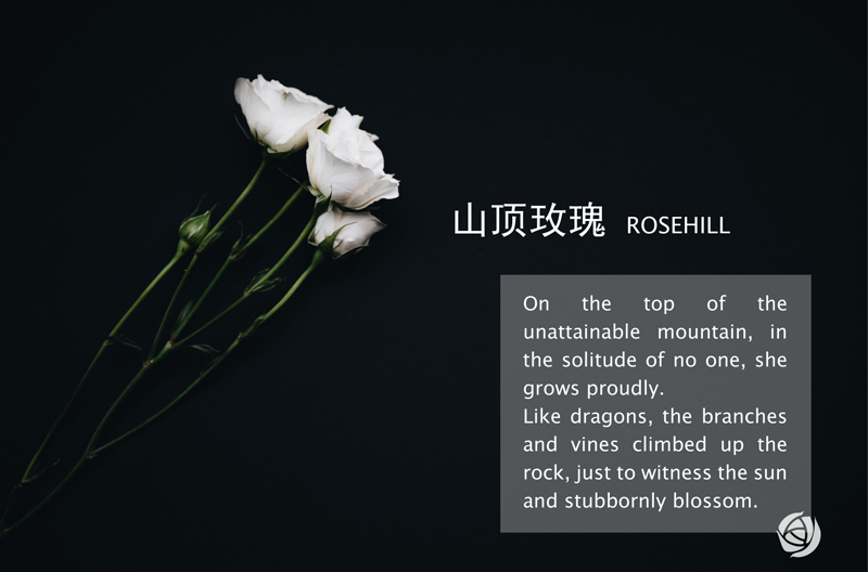 Rosehill set-02-English.jpg